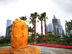 深圳前海：打造最濃縮最精華的核心引擎